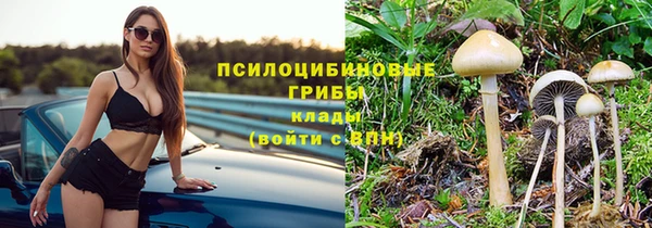 Альфа ПВП Магас