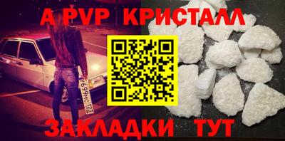 прущие грибы Канаш