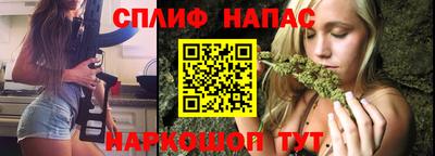 прущие грибы Канаш