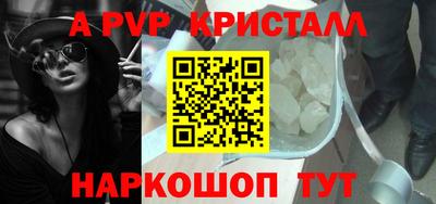 тгк Кингисепп