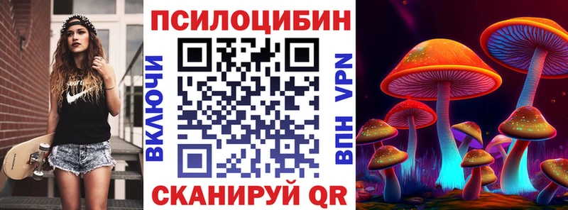 OMG как зайти  дарнет шоп  Усть-Джегута  Галлюциногенные грибы Psilocybe 