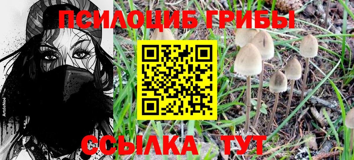 Псилоцибиновые грибы MAGIC MUSHROOMS Усть-Джегута