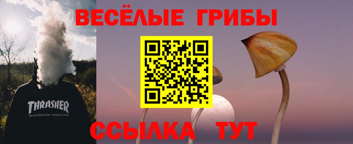 Усть-Джегута  купить  сайты  Галлюциногенные грибы мицелий  Вход с VPN  Галлюциногенные грибы мицелий 